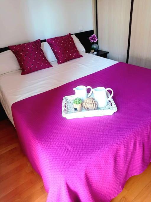 Acogedor Apartamento Con Piscina Y Garaje Apartment อูเอสกา ภายนอก รูปภาพ